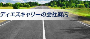 ディエスキャリーの会社案内